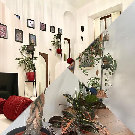 La Stanza Della Giungla Apartment Milano Exterior foto
